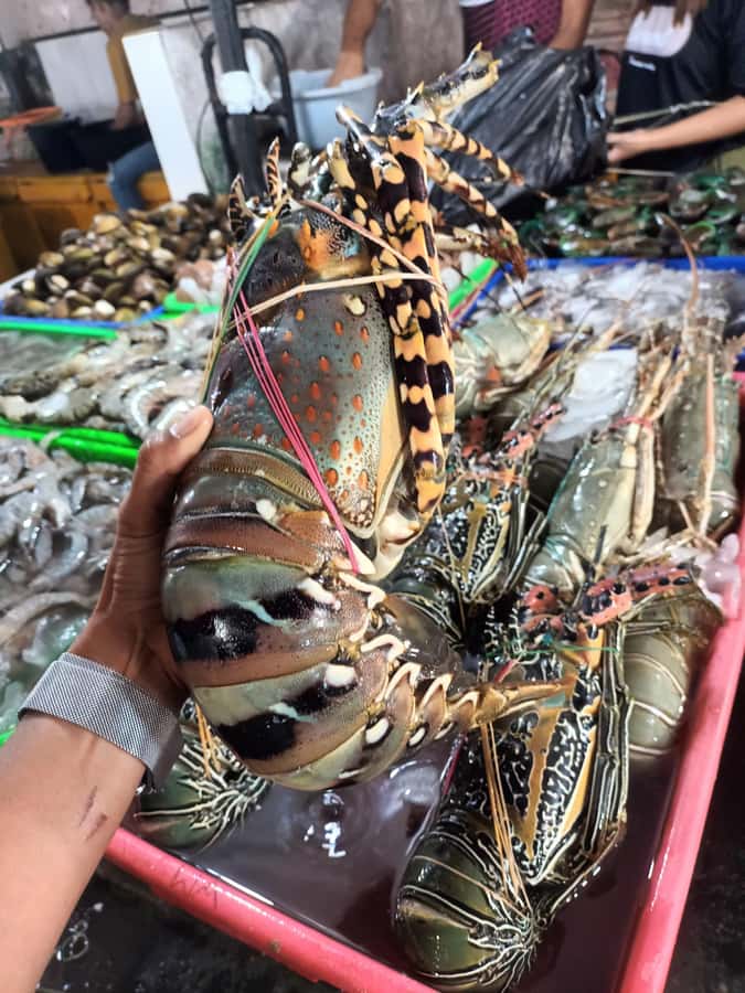 Jimbaran: Exotic Culinary Fish and Seafood Tour - Is the Jimbaran seafood tour worth booking?
