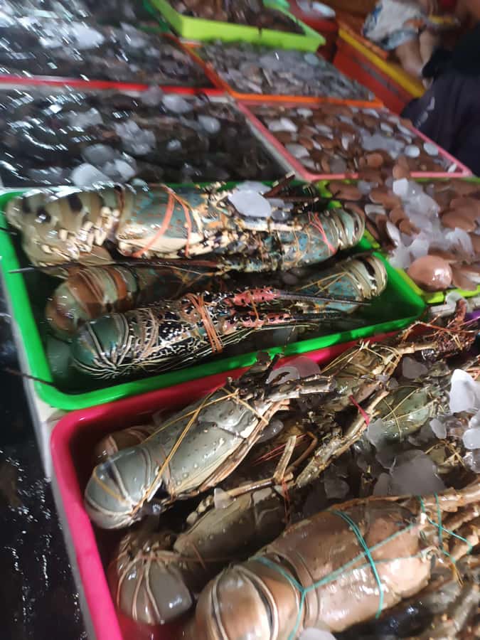 Jimbaran: Exotic Culinary Fish and Seafood Tour - What the three-hour schedule really gives you