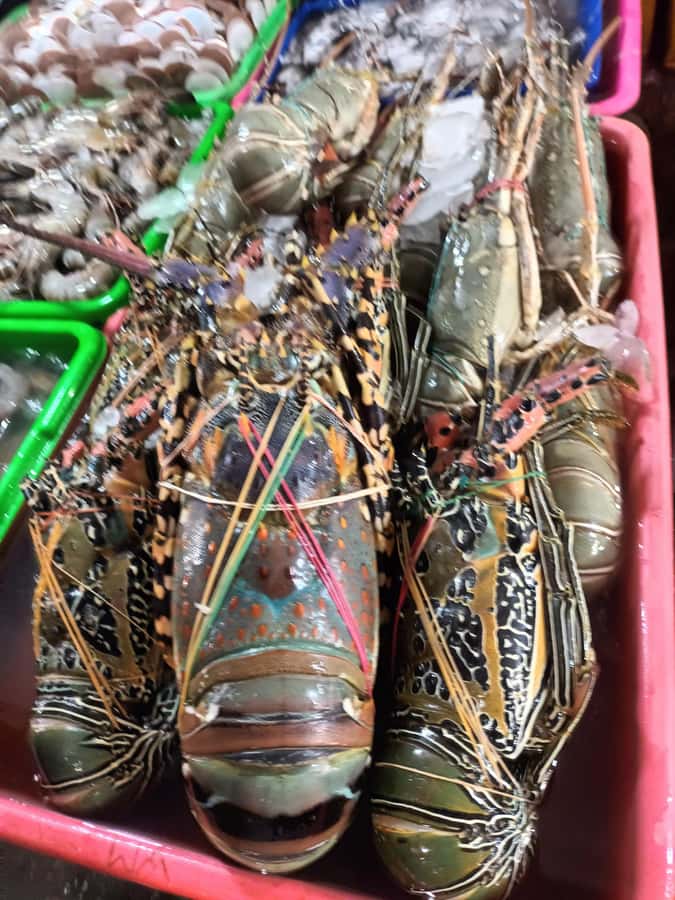 Jimbaran: Exotic Culinary Fish and Seafood Tour - Rain, timing, and the practical side of the outing