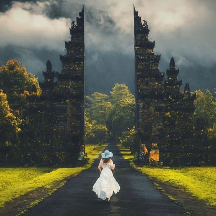 Jumping Sliding at Aling- Aling Waterfall and Handara Gate - Who should book this Bali day out?