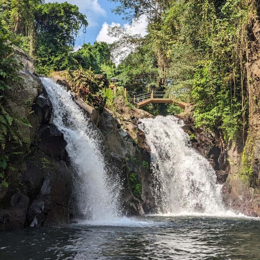 Jumping Sliding at Aling- Aling Waterfall and Handara Gate - Coffee tasting in Tabanan