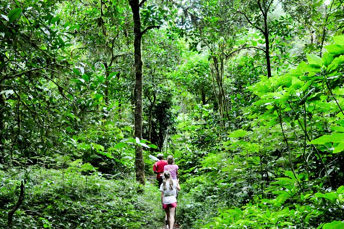 Jungle Trekking and Tamblingan Lake Canoeing in Bali Rainforest - Small details that make the choice easier