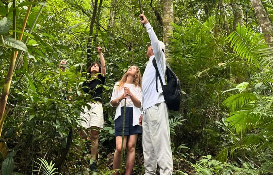 Jungle Trekking at Mt. Batukaru, scenic Waterfall & village - Key points to know before booking