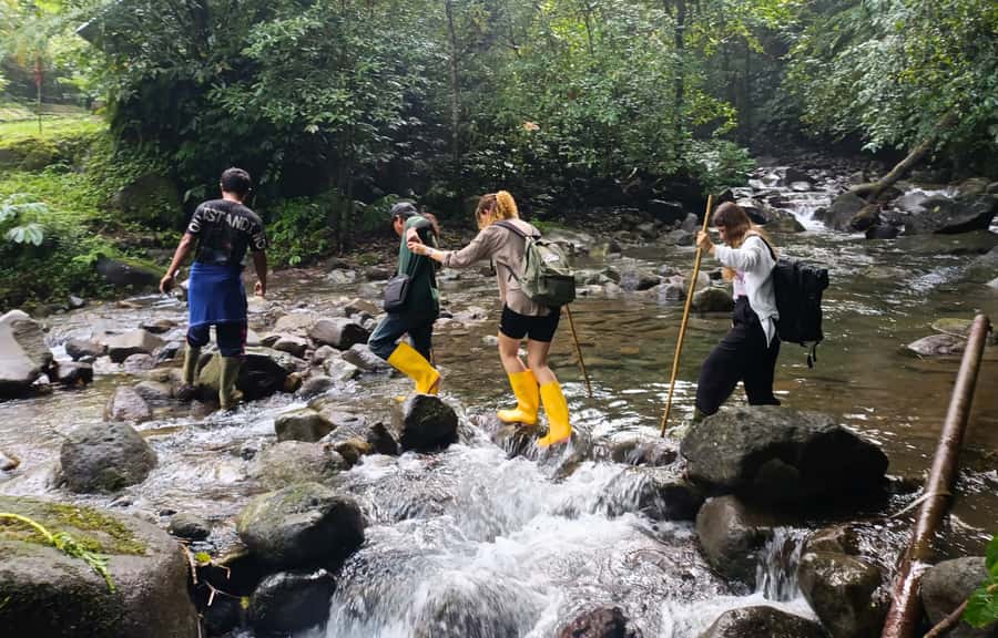 Jungle Trekking at Mt. Batukaru, scenic Waterfall & village - Pura Luhur Batukaru and the respectful start