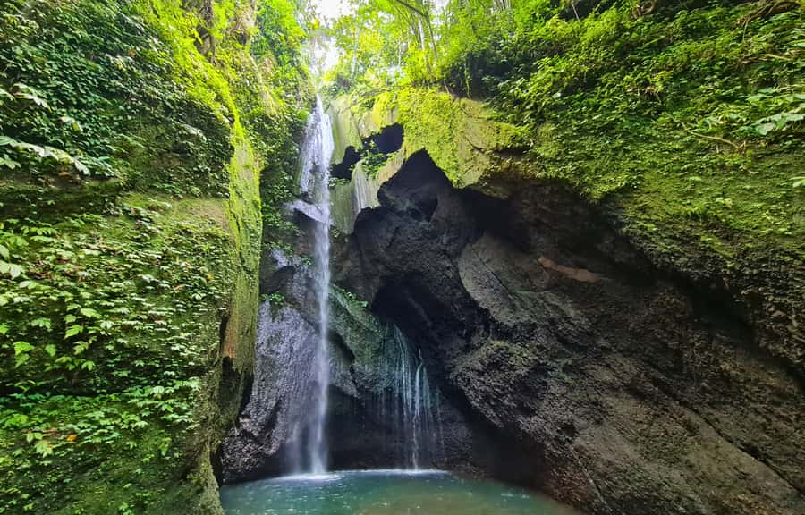 Jungle Trekking at Mt. Batukaru, scenic Waterfall & village - Two hours in the Batukaru rainforest