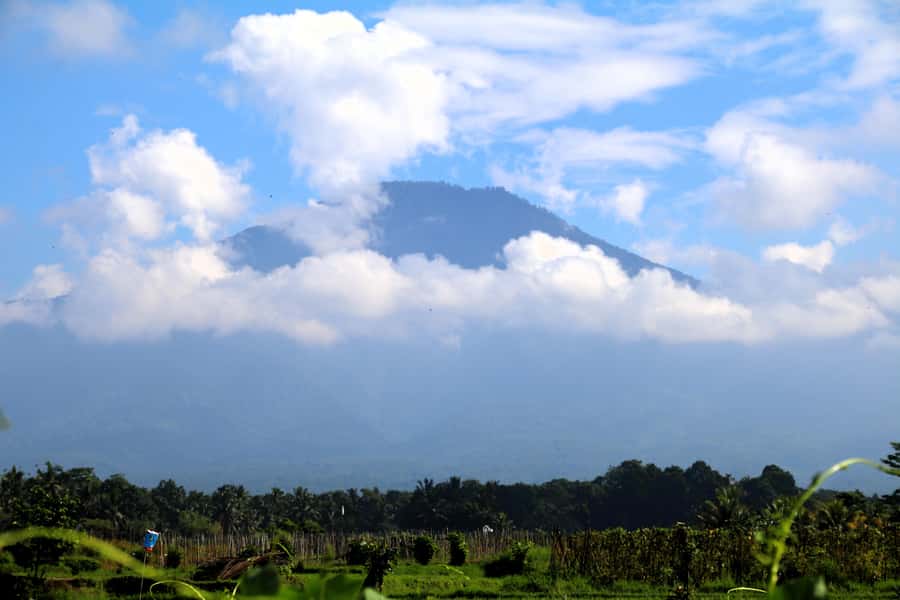 Jungle Trekking at Mt. Batukaru, scenic Waterfall & village - Rice, Trigona bees, and a working farm