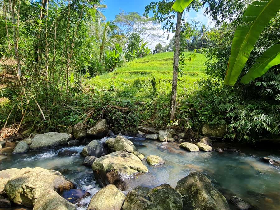 Jungle Trekking at Mt. Batukaru, scenic Waterfall & village - Belulang Hot Springs and Pengempu Waterfall