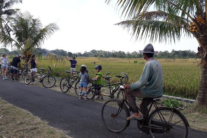 Kaba Kaba Reason for Harmony Cycling - Key points to know before you book