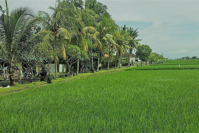 Kaba Kaba Reason for Harmony Cycling - Why rural Kaba-Kaba is a better cycling setting