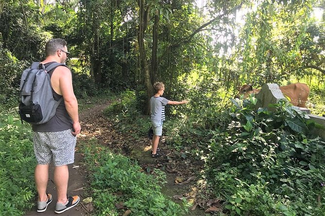 Kaba Kaba Reason for Harmony Cycling - Reaching the water temple among the fields