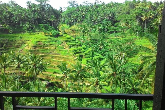 Kintamani Volcano View Tour - Ubud closes the day with room to choose