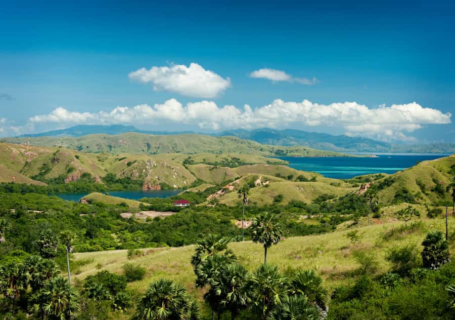 Komodo Island: Private 3-Day Tour with Boat and Hotel Stay - Is $1,375 per person a fair price?
