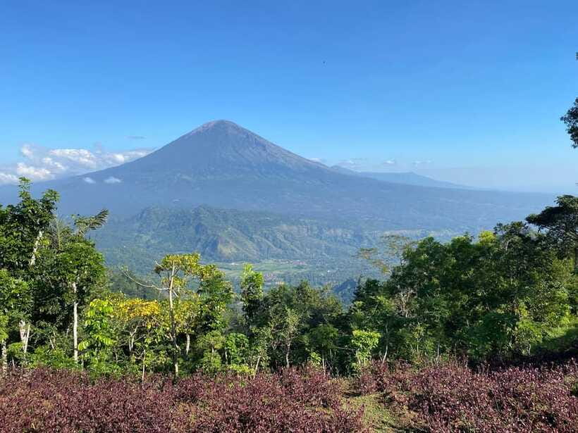 Lahangan Sweet, Tirta Gangga & Virgin Beach - Who will enjoy this tour most