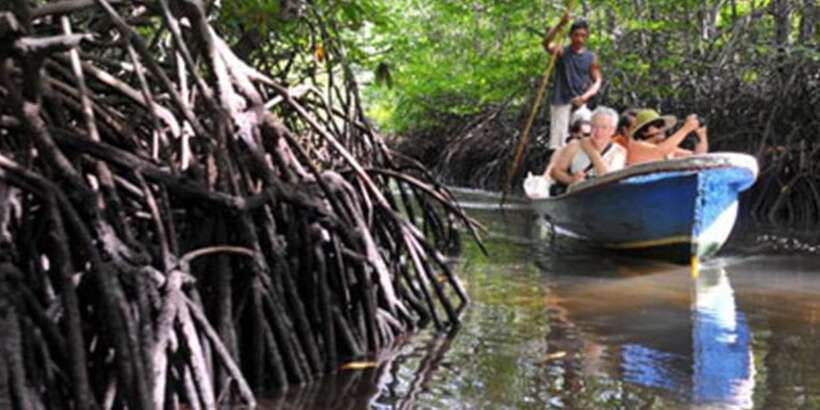Lembongan : Fully enjoy! Snorkeling, Sightseeing /1day tour - A Quiet Turn Through the Mangrove Forest