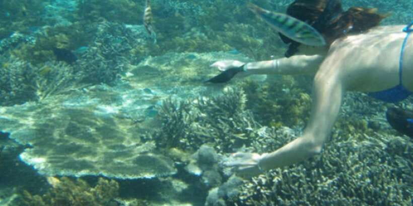 Lembongan : Fully enjoy! Snorkeling, Sightseeing /1day tour - Panorama Point and Lembongan’s Big View