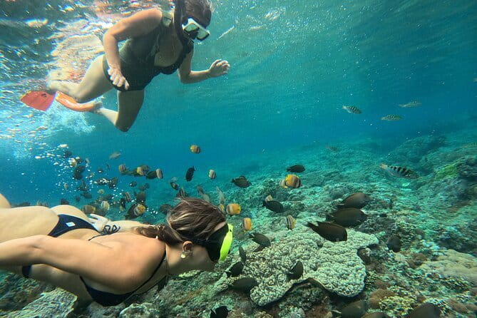 Lembongan Snorkeling at Manta Bay, Crystal Bay and Mangrove - Crystal Bay brings clear water and reef color