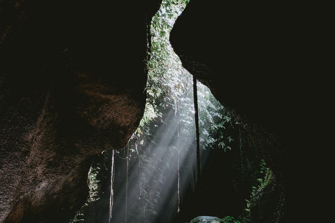 Lempuyang Gates of Heaven, Tirta Gangga Temple Swim & Jungle Waterfalls - The guides can shape the whole experience