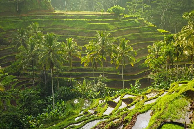 Lempuyang Temple and Bali Instagramable Tour - Tegalalang Rice Terrace and Bali’s working countryside