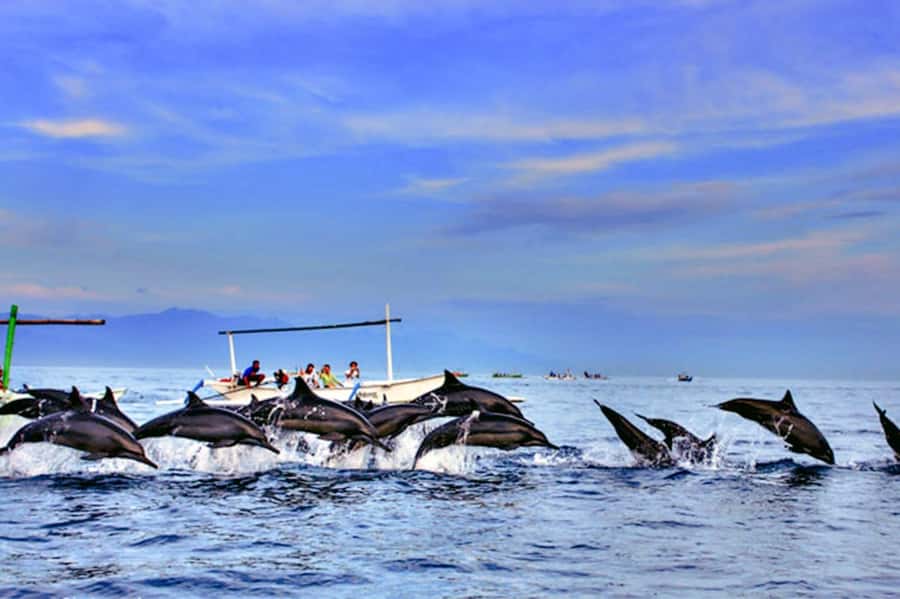 lovina bali: Dolphin watching, waterfall and local lunch - Banyumala Twin Waterfall and clear spring water