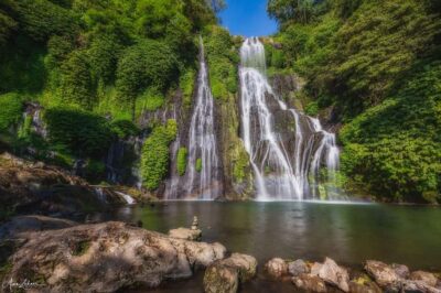 lovina bali: Dolphin watching, waterfall and local lunch