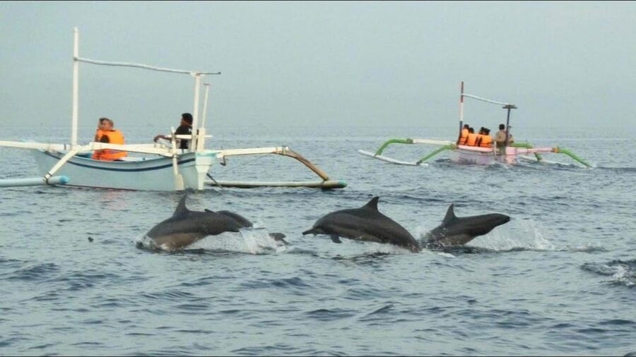 lovina bali: Dolphin watching, waterfall and local lunch - Lunch in a Balinese family home