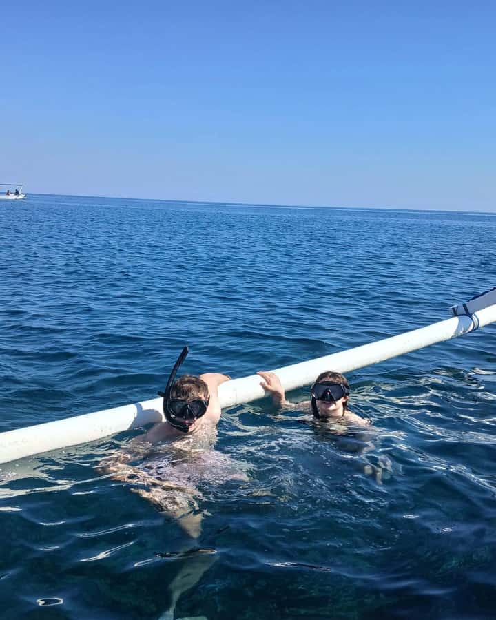 Lovina : SPECIAL FULL TRIP dolphin watch, swim, and snorkel - What swimming with the dolphins really means