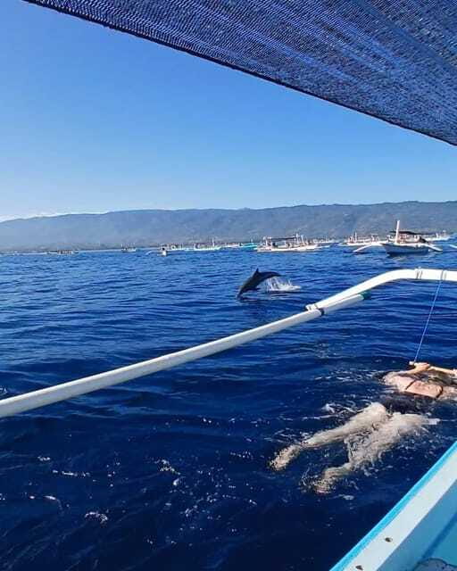 Lovina : SPECIAL FULL TRIP dolphin watch, swim, and snorkel - Snorkeling over coral and fish