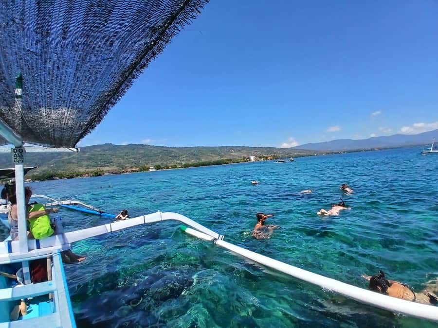 Lovina : SPECIAL FULL TRIP dolphin watch, swim, and snorkel - Guides, language, and group style