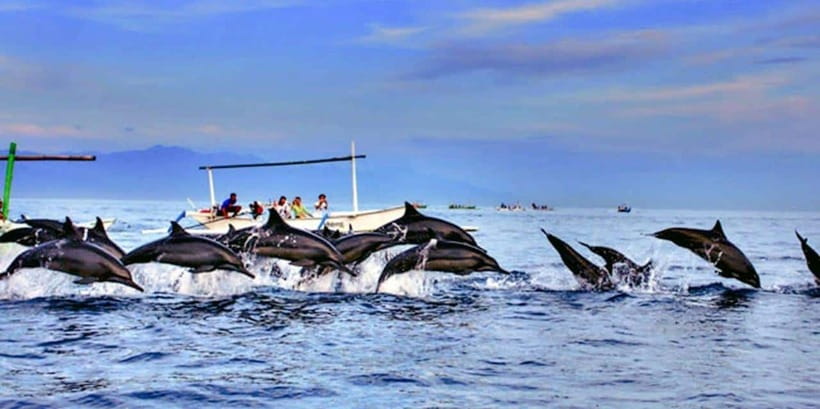 Lovina: Watching Dolphin, Swimming Dolphin Bali Tour - Sunrise on Lovina Beach
