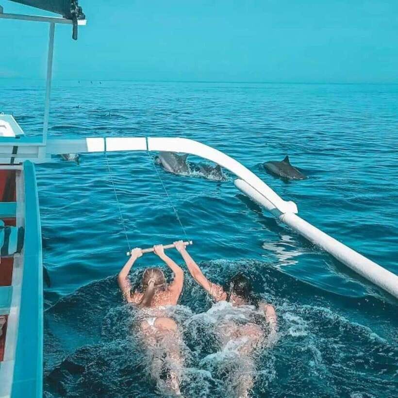 Lovina: Watching Dolphin, Swimming Dolphin Bali Tour - What to bring for the early start
