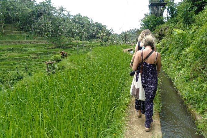 Magic Of Ubud Temple Swing And Waterfall Private Guided Tour - Tampaksiring village, tea, and local Bali