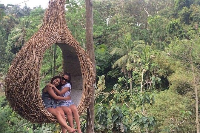 Magic Of Ubud Temple Swing And Waterfall Private Guided Tour - What the private guide and vehicle really add