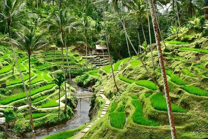 Magic Of Ubud Temple Swing And Waterfall Private Guided Tour - Happy Swing Bali and its seven photo stations