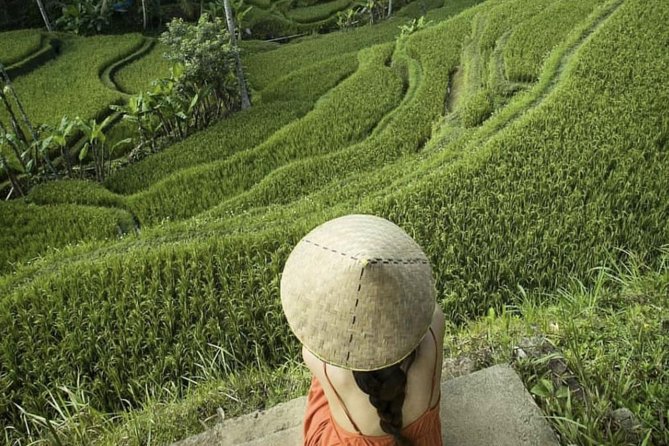 Magical Ubud Rice Terrace Tour (Private & All-Inclusive) - Tirta Empul Temple and Balinese purification