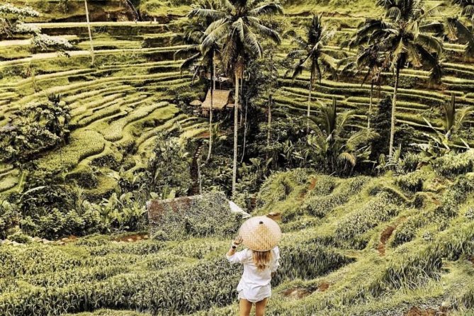 Magical Ubud Rice Terrace Tour (Private & All-Inclusive) - Is $107 per person a fair price?
