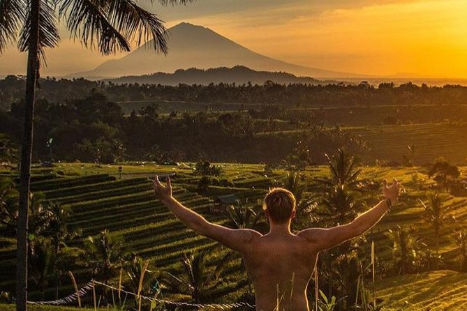 Magical Ubud Rice Terrace Tour (Private & All-Inclusive) - Alas Harum Bali and the coffee stop