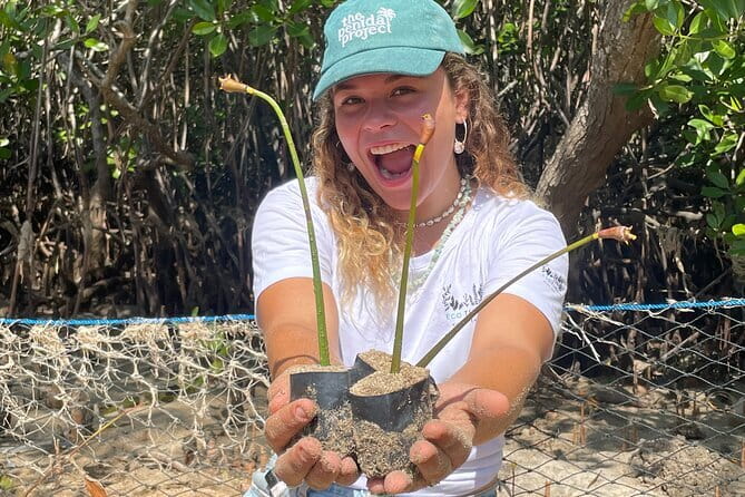 Mangrove Reforestation and Exploration around the Nusa Islands - A conservation day with real work attached
