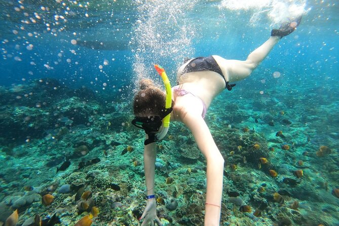 Manta Bay Snorkeling Adventure with Kelingking Beach Nusa Penida All Inclusive - Lunch and a useful pause in the middle of the day