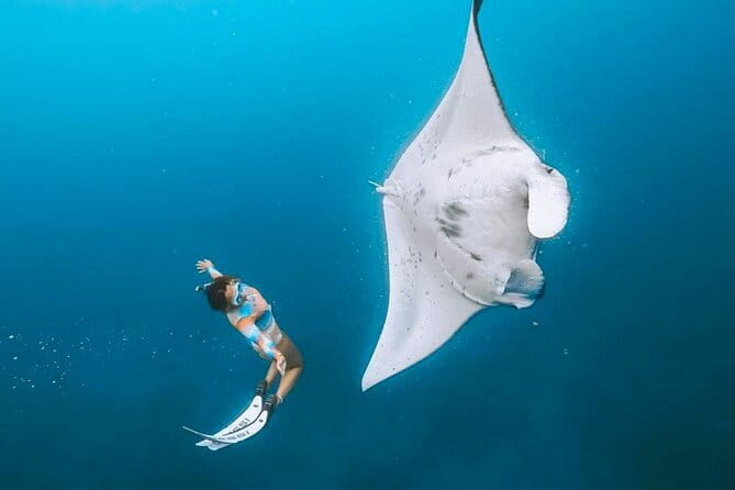 Manta Point Snorkeling & West Nusa Penida Island Day Tour - Key points at a glance