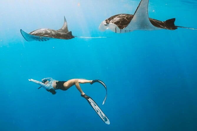 Manta Point Snorkeling & West Nusa Penida Island Day Tour - Why Manta Point is the star of the day