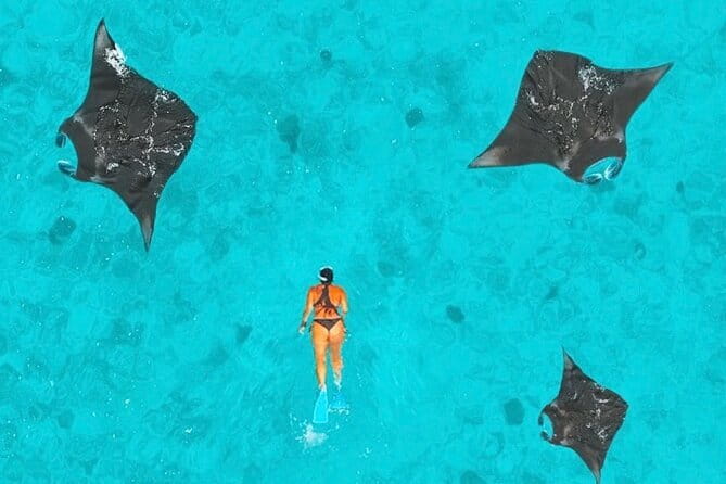 Manta Point Snorkeling & West Nusa Penida Island Day Tour - Kelingking Beach delivers the famous view