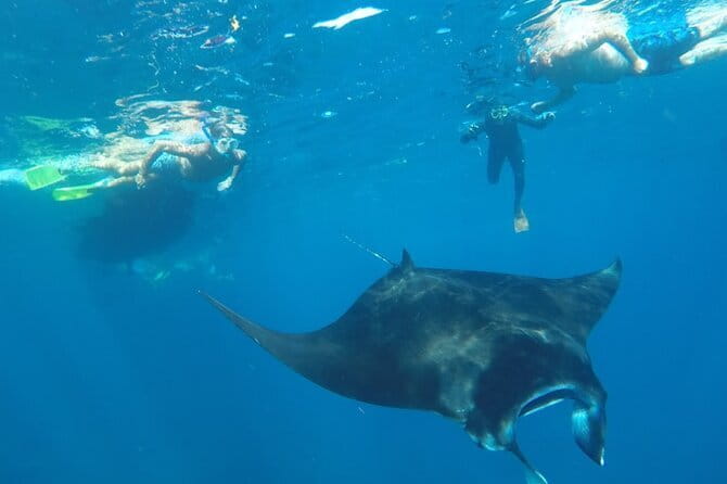 Manta Point Snorkeling & West Nusa Penida Island Day Tour - Angels Billabong requires care