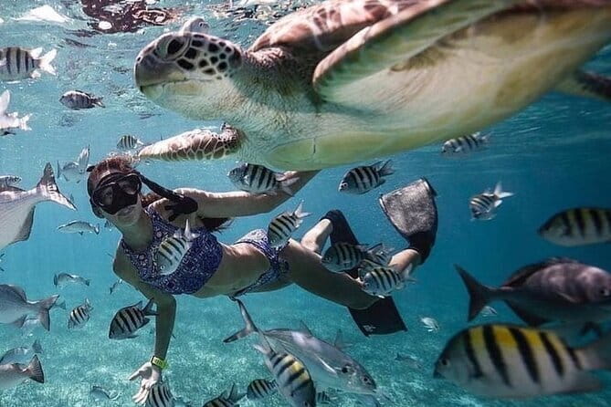 Manta Point Snorkeling & West Nusa Penida Island Day Tour - The real cost is measured in transit
