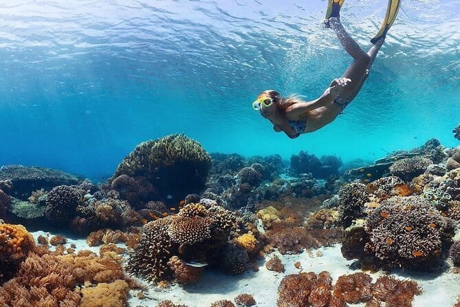 Manta Point Snorkeling & West Nusa Penida Island Day Tour - Gamat Bay adds fish, coral, and a calmer contrast