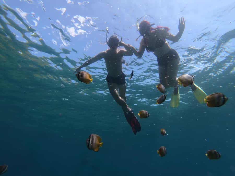Manta Tour in Nusa Lembongan and Nusa Penida - Drivers, supervision, and day-to-day service