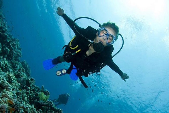 Menjangan Island Bali Diving Activity - The 6:00 a.m. start and the long road west