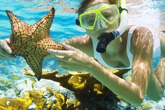 Menjangan Island Bali Diving Activity - Is $176 a fair price?