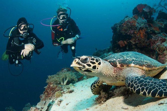 Menjangan Island Bali Diving Activity - Reaching the island by boat
