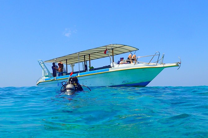 Menjangan island for Certified Scuba Divers full day boat trip, 2 dives + lunch - From Pemuteran to the national park by boat