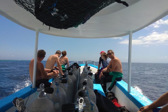 Menjangan island snorkeling full day boat trip - A 40-minute boat trip to Menjangan